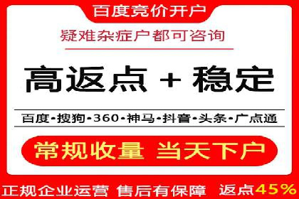 百度推广的广告投放策略案例